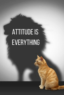 Attitude is Everything! 3